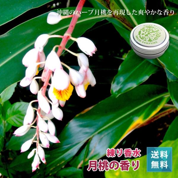 アヤグナチュラ 練り香水 月桃の香り アルコールフリー 肌に優しい ソリッドフレグランス 贈答 贈り物 プレゼント レディース メンズ Buyee Buyee Japanese Proxy Service Buy From Japan Bot Online