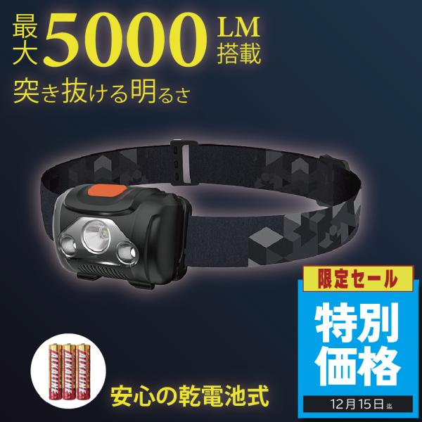 ヘッドライト 電池式 ledヘッドライト ヘットライト ヘルメットライト 釣り 登山 アウトドア キャンプ 軽量 防水 明るい  防災 小型 LED ヘッド ライト