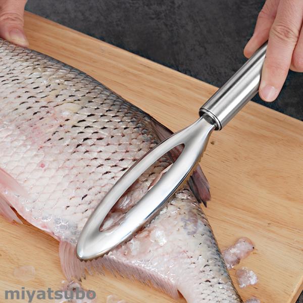 ウロコ取り 魚 検索ランキング注目度順 ウロコ取り 魚 キッチン用品 食器 調理器具