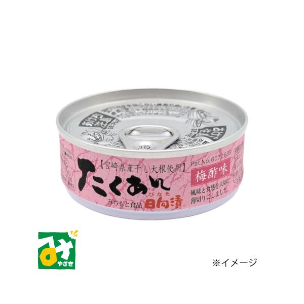 miyazakikonne_068-003