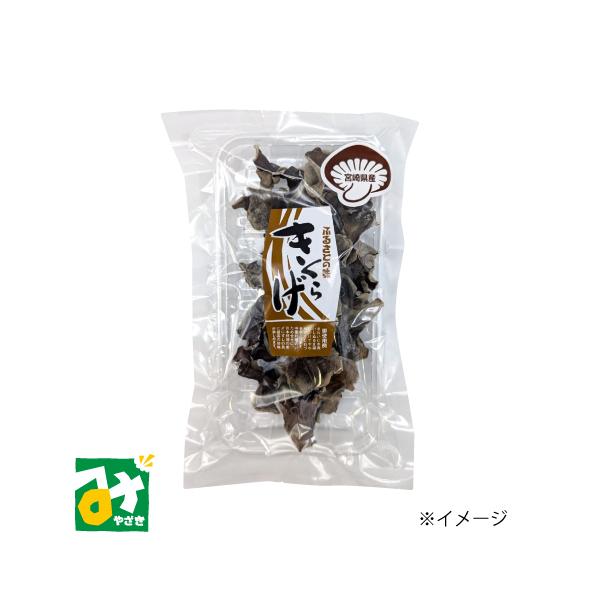 宮崎県産キクラゲを乾燥したもので、炒め物や煮物、ラーメンの具、味噌汁などで美味しく召し上がれます。コリコリとした食感が特徴です。◆ ご使用例 ◆きれいに水洗いし、ぬるま湯につけてやわらかくし、石づきをとります。中華料理の炒め合わせに、日本料...