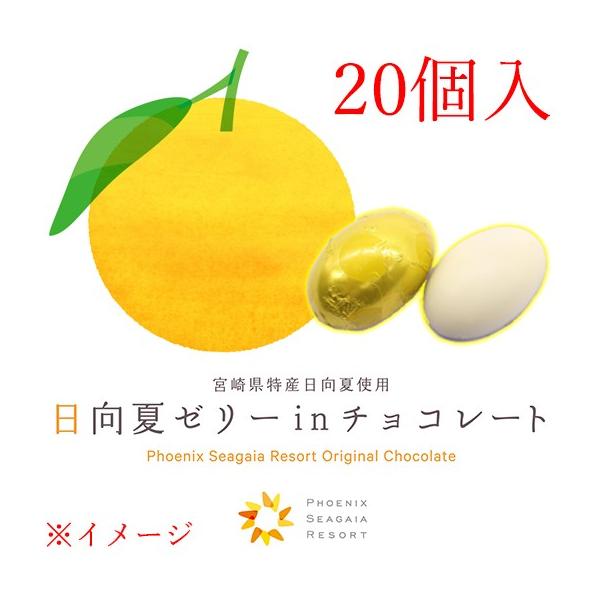 `R[g Ԍ tFjbNX][g ă[[in`R[g 20 4952336307109