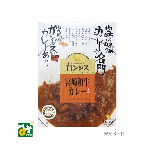 宮崎ブランドの食材にこだわった、おいしいカレーができました。ガンジスならではのコクと旨味。定番のガンジスカレーに和牛カレーが登場！■内容量：180g■原材料名：野菜（たまねぎ、にんじん、セロリ）、牛肉、無糖れん乳、植物油脂、小麦粉、チャツネ...