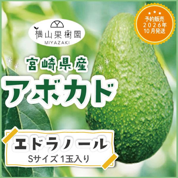 商品名　宮崎産アボカド「エドラノール」産地 宮崎県内容量　Sサイズ(200g~249g)×1玉パック入り商品説明 糖油分が多く、コクのある味わいのエドラノール。南国宮崎でひとつひとつ大切に育てられた国産アボカドを産地直送でお届け。※こちらの...