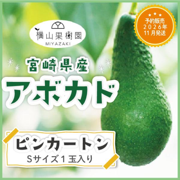 商品名　宮崎産アボカド「ピンカートン」産地 宮崎県内容量　Sサイズ(200g~249g)×1玉パック入り商品説明 油分を多く含み、ナッツのような香りのピンカートン。南国宮崎でひとつひとつ大切に育てられた国産アボカドを産地直送でお届け。※こち...