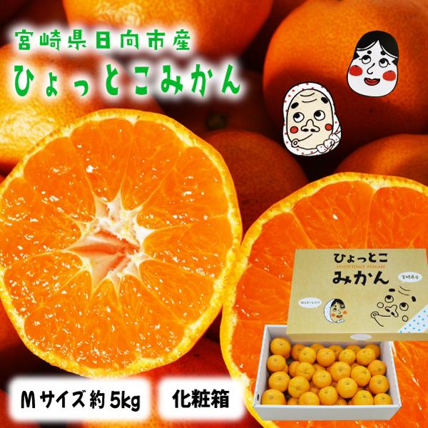 宮崎県日向市産 高級 ブランド みかん「 ひょっとこみかん」Mサイズ 約