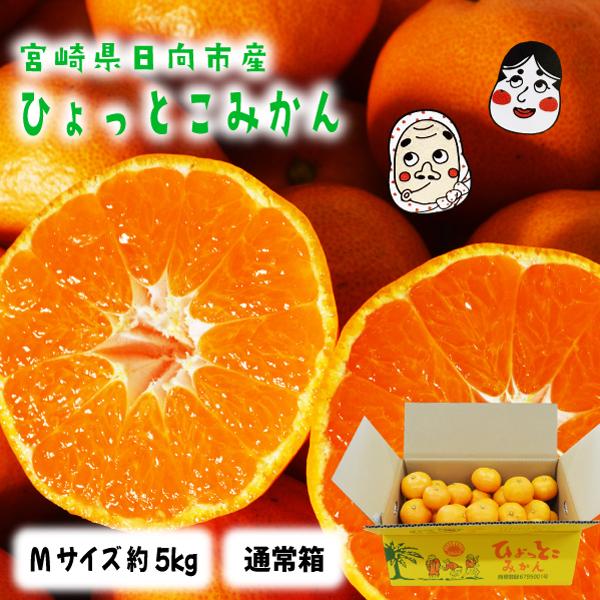 宮崎県日向市産 高級 ブランド みかん「 ひょっとこみかん」Mサイズ 約