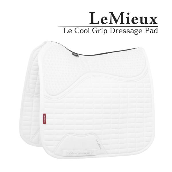miyoa_le-it02825001 miyoa_le-it02825001