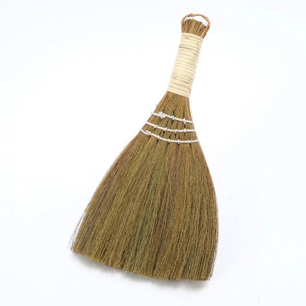 Naturalist ق   zEL p RpNg