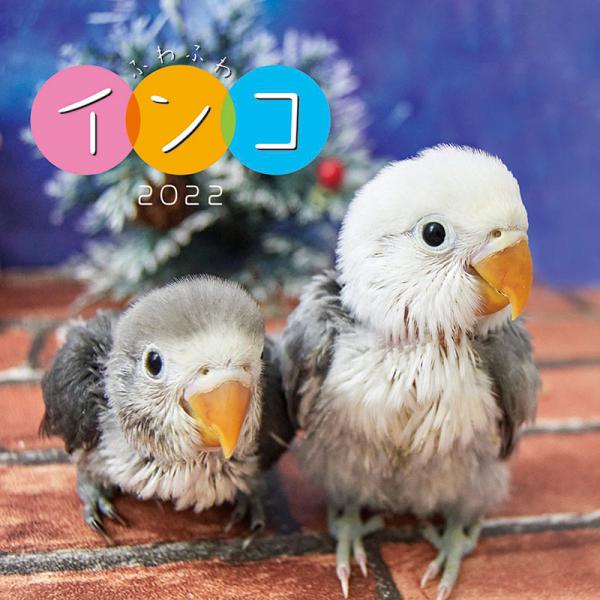 インコ カレンダーの人気商品 通販 価格比較 価格 Com