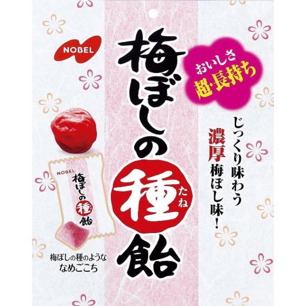 ノーベル製菓 梅ぼしの種飴 30ｇ×３０袋