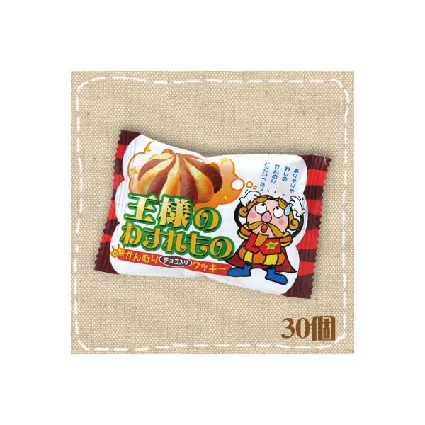 mizota_4903013247799-1