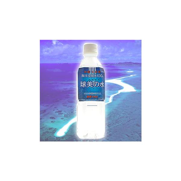  Cm[w 500ml ̐dx1000@500mLx24{ Cm [w ꌧvē璼ł͂@s