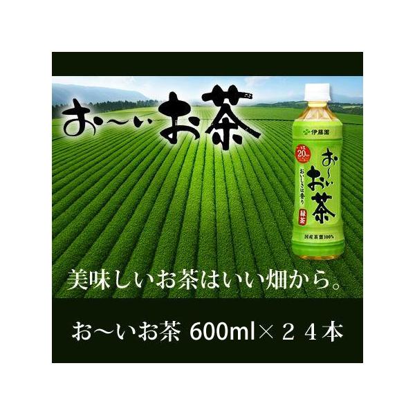お〜いお茶　緑茶　600ml×24本入り　伊藤園