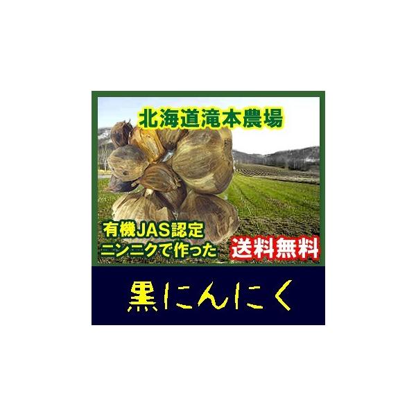 {_@jjN 300g@L@JASFɂɂgp@@^[pbNvXp@s