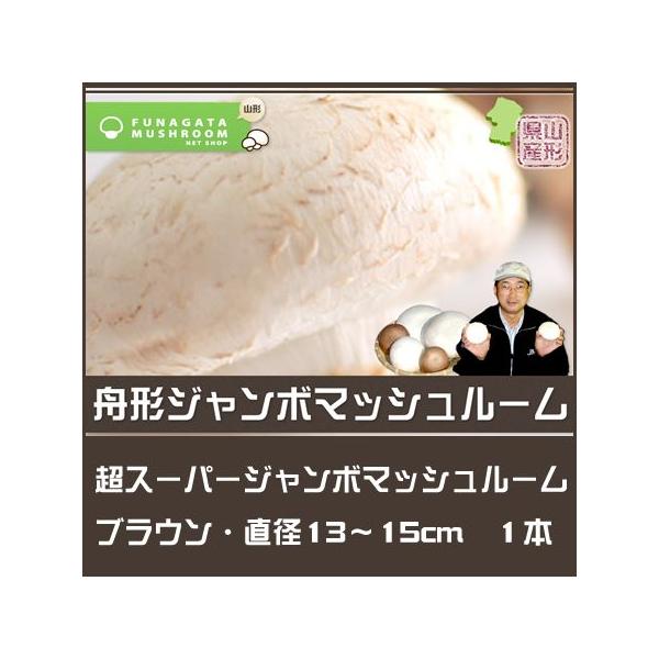 R`Y Yn  X[p[W{}bV[ uE 1{@a13`15cm