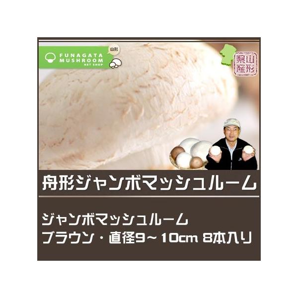 R`Y Yn  W{}bV[ uE 8{@a9`10cm