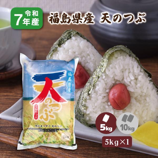 �V�N�Y �����Y�V�̂� 5kg ������ ���� ���i�摜
