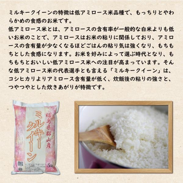 �V�N�Y �������S�R�Y�~���L�[�N�C�[�� 5kg�@������ ���� ���i�摜2