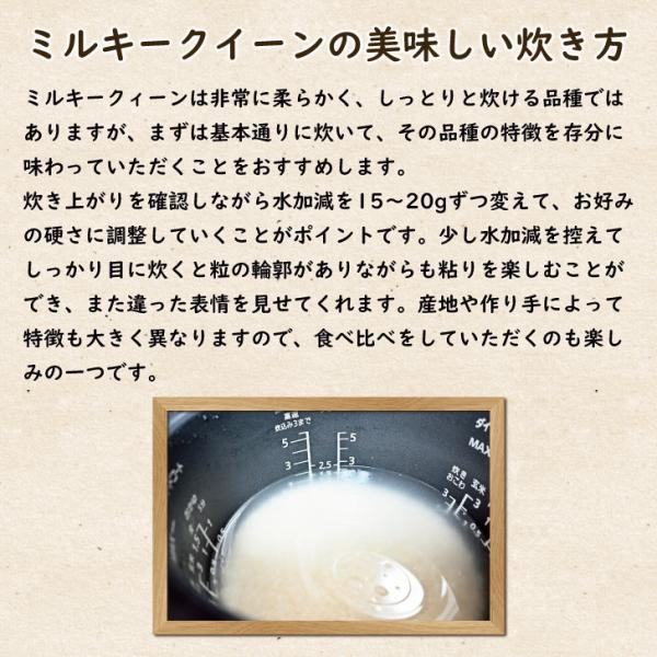�V�N�Y �������S�R�Y�~���L�[�N�C�[�� 5kg�@������ ���� ���i�摜3