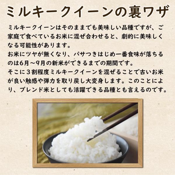 �V�N�Y �������S�R�Y�~���L�[�N�C�[�� 5kg�@������ ���� ���i�摜4
