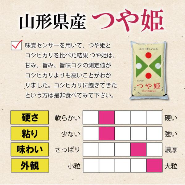 �V�N�Y �R�`���Y ��P 5kg�~2 (10kg) ������ ���� ���i�摜1