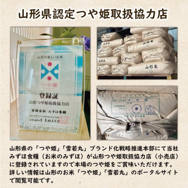 �V�N�Y �R�`���Y ��P 5kg�~2 (10kg) ������ ���� ���i�摜2
