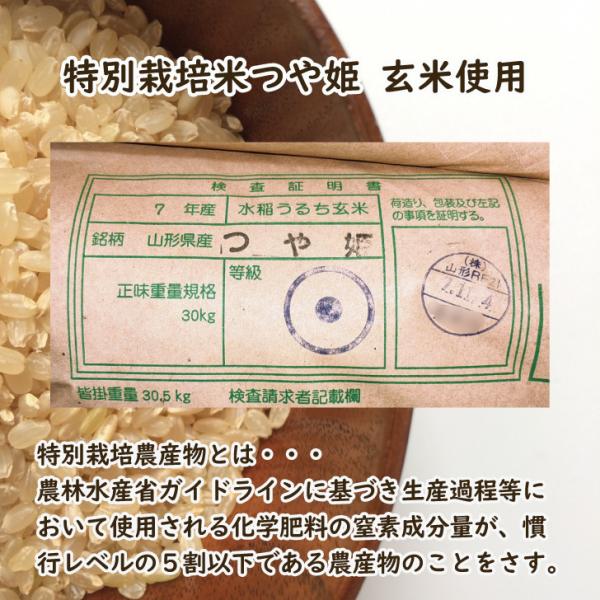 �V�N�Y �R�`���Y ��P 5kg�~2 (10kg) ������ ���� ���i�摜3