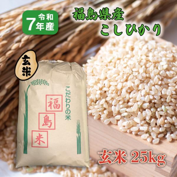 【玄米】７年産 福島県産こしひかり ２５kg