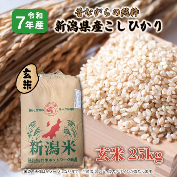 �y���āz�� ��BL �V�N�Y �̂Ȃ���̏��� �V�����Y�����Ђ��� 25kg ���i�摜