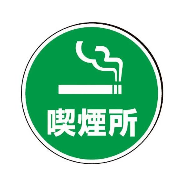 外寸：φ393×1mm厚材質：ペット樹脂透明※両面に表示する場合は2枚必要です。※付属の取付ピンで簡単に取付が可能です。