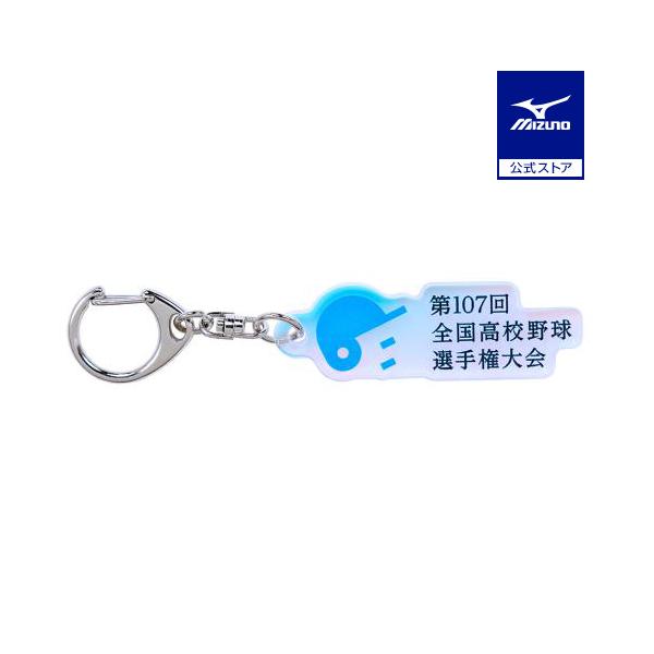 MIZUNO ミズノ公式 高校野球オフィシャルグッズ オーロラ