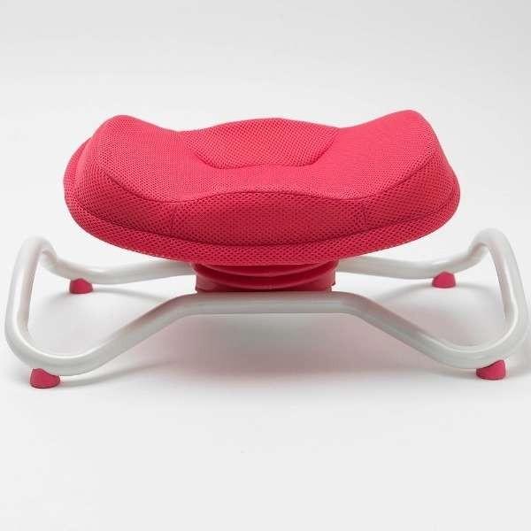 健康グッズ らくらく骨盤運動マシン ながらウォーク 健康器具 : 水の森