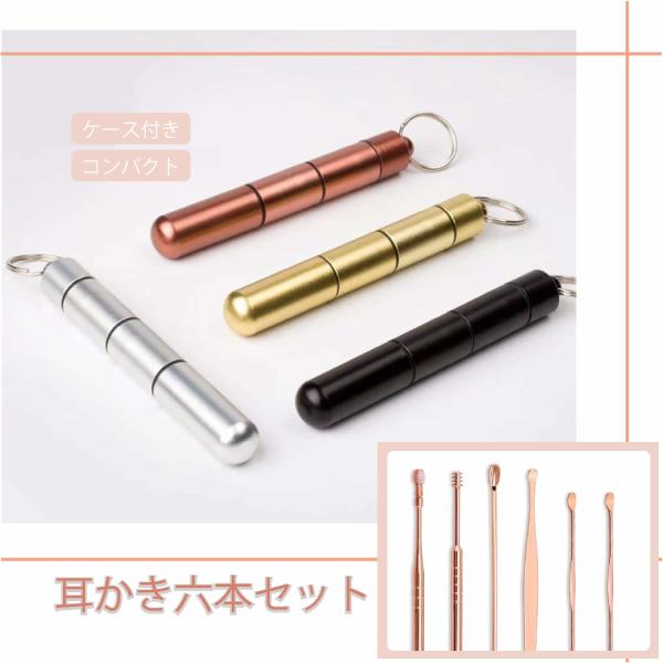 耳かき 6本セット ケース付き 便利 耳かき6点セット 耳掃除 耳掻き みみかき ステンレス製 大人 子ども 耳垢 身だしなみ 便利グッズ すっきり