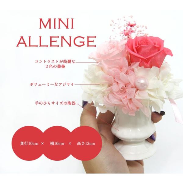 花 プリザーブドフラワー プチギフト 結婚祝い 誕生日 女性 母 プレゼント お返し ミニアレンジ 退職祝い ラフルール Buyee Buyee Japanese Proxy Service Buy From Japan Bot Online