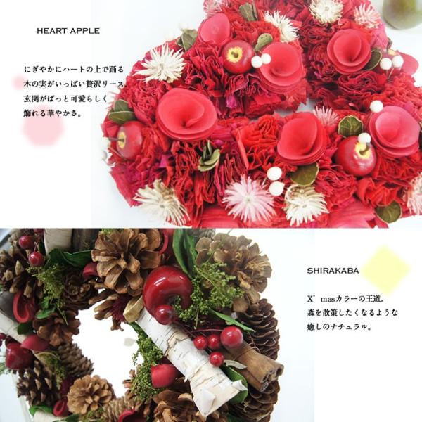 クリスマスリース おしゃれ 玄関 直径30cm 冬 インテリア 雑貨 壁掛け クリスマス雑貨 飾り付け オーナメント Buyee Buyee Japanese Proxy Service Buy From Japan Bot Online