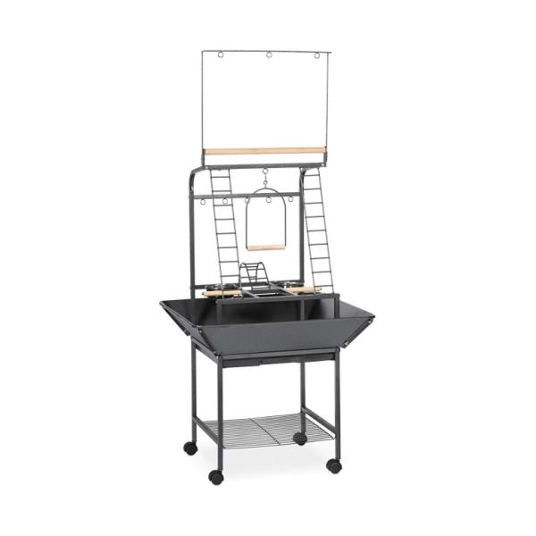 オウム オープン 止まり木 インコ 小鳥 プレイスタンド ブラック ハマートーン 約45cm 約17インチ Prevue Pet Products Small Parrot Playstand 3181 Black Hamm Buyee Buyee 提供一站式最全面最專業現地yahoo Japan拍賣代bid代拍代購服務 Bot Online