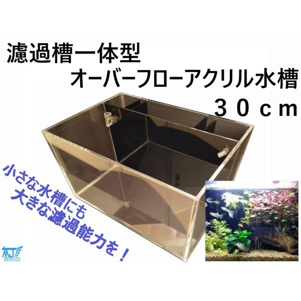 濾過槽一体型オーバーフローアクリル水槽 ３０ｃｍ Isequipment Cl