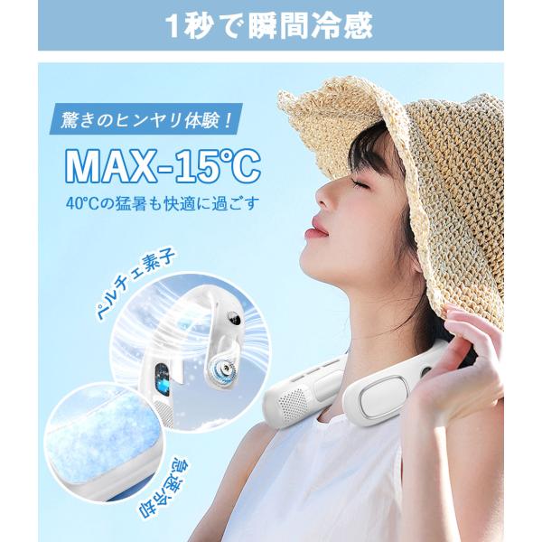 mk-apparel-store_n90_4_d_20260717164634