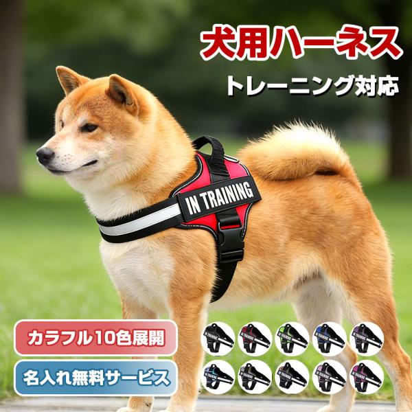 【名入れ可】レビュー特典あり★犬 ハーネス 名前 胴輪 単品 名入れ イニシャル 簡単装着 引っ張り防止 抜けない 小型犬 中型犬 大型犬 かわいい 散歩 お出かけ