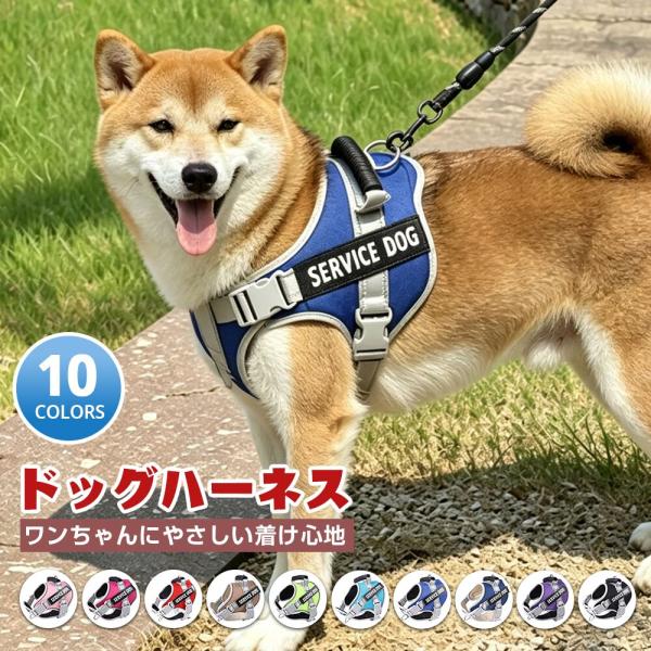 【名入れ可】レビュー特典あり★犬 ハーネス 名前 胴輪 単品 名入れ イニシャル 簡単装着 引っ張り防止 抜けない 小型犬 中型犬 大型犬 かわいい 散歩 お出かけ