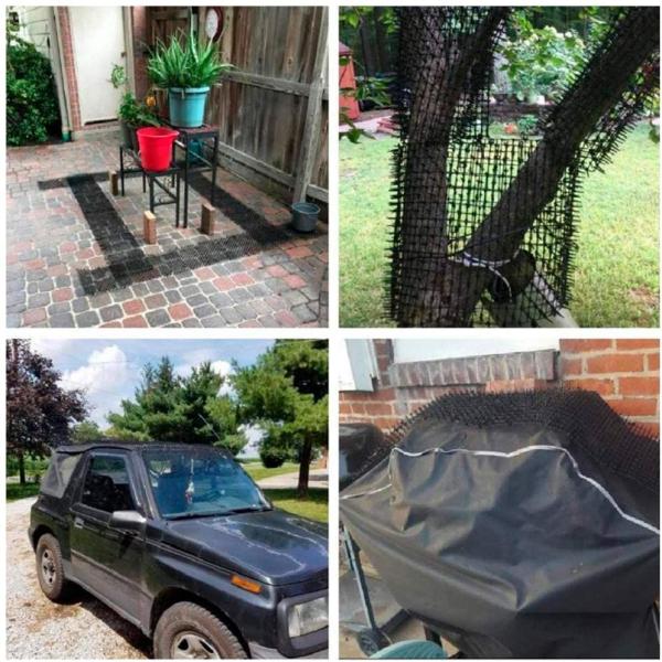 B08HV53MML CleverCare_JP 猫よけシート ねこよけマット ここダメ 