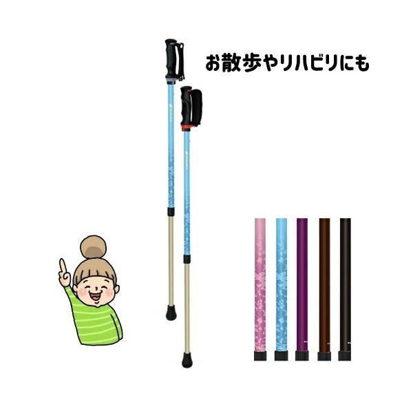 あんしん２本杖 ２本１組 シナノ 38-264