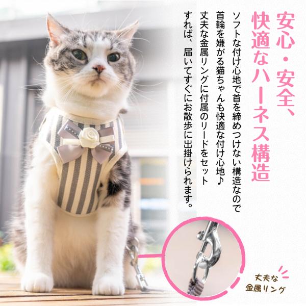 おしゃれハーネスでご機嫌 猫ハーネス リード 猫のハーネス 猫用ハーネス 猫用品 ハーネス 猫 猫散歩 子猫 猫散歩用ハーネス 猫首輪 おしゃれ 猫に優しい首輪 猫の首輪 猫服 猫グッズ 代購幫