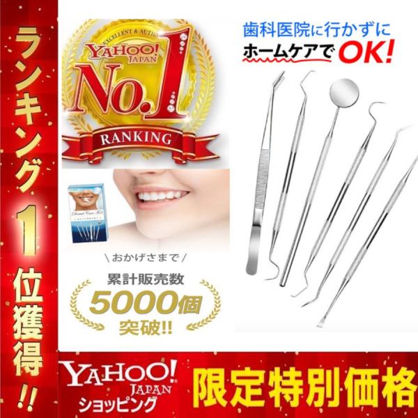 歯科用器具　歯科器具　歯石　歯垢　歯医者　歯学生　歯科衛生士 歯科用スケーラ 鎌首歯石とり 40418 [デンタルケア用品 一般医療