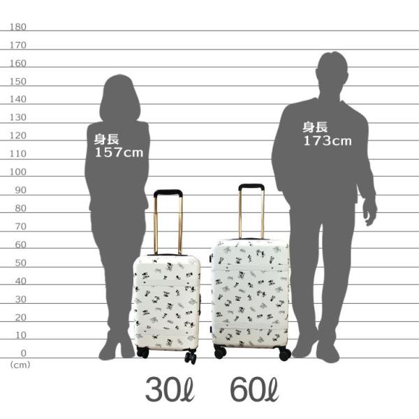 スーツケース Sサイズ 30l 機内持ち込み可 ディズニー ミッキーマウス キャリーバッグ ファスナータイプ キャリーケース Dny2246 48 Dny2246 48 キャリーバッグ通販のmm Company 通販 Yahoo ショッピング