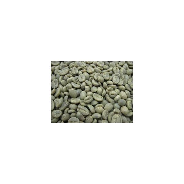 コーヒー生豆 グァテマラ SHB 1kg （ガテマラ）【生豆】
