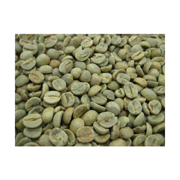 コーヒー豆 生豆 5kg ブラジルの人気商品・通販・価格比較 コーヒー豆 生豆 5kg ブラジルの人気商品・通販・価格比較