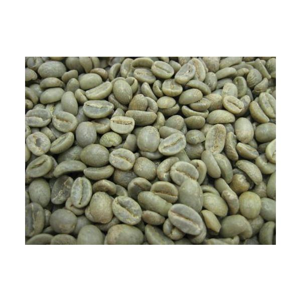 R[q[@RrA@I[KjbN@5kg@L@͔| e ܂Ƃߔ