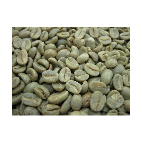 R[q[@y[@I[KjbN@5kg@L@͔| e ܂Ƃߔ